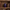 Indigo Mosaic Cremation Urn centered on a walnut bookshelf beside leather-bound books