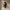 Golden Mosaic Cremation Urn on a limestone pedestal against a warm taupe background