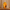 Golden Low Sunset Fishing memorial urn on a rustic wooden table with long cream macramé extending behind it against a light-brown wall.