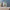 Cat-themed human memorial urn on a stone mantel with flowers against a slate-blue wall; flowers not included