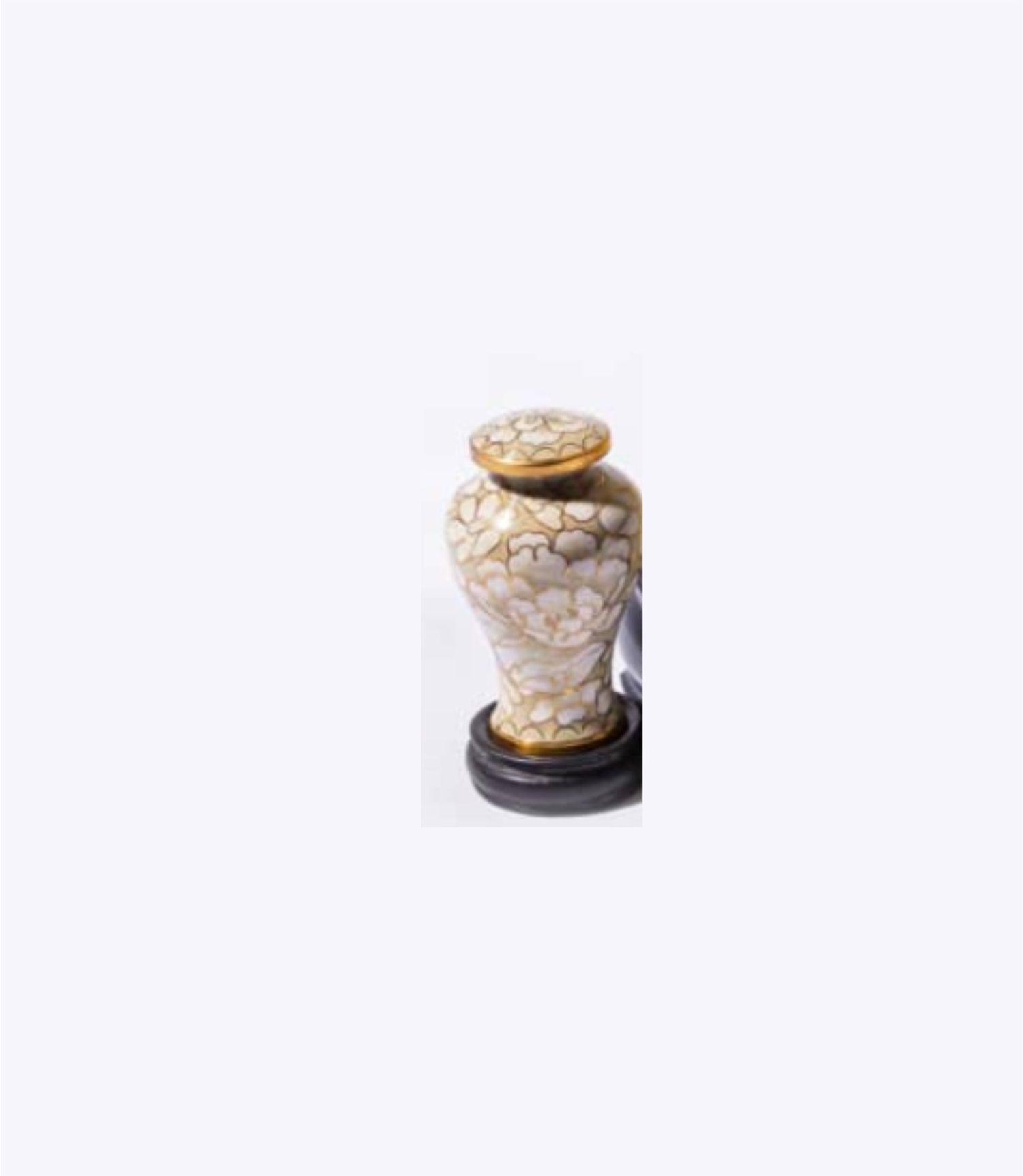 Cream and Gold Cloisonné Cremation Urn with Floral Design – Full-Size, Keepsake, and Heart